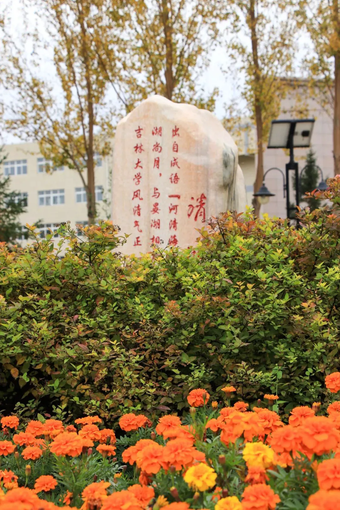 如何使用智能健身设备进行篮球专项训练_0